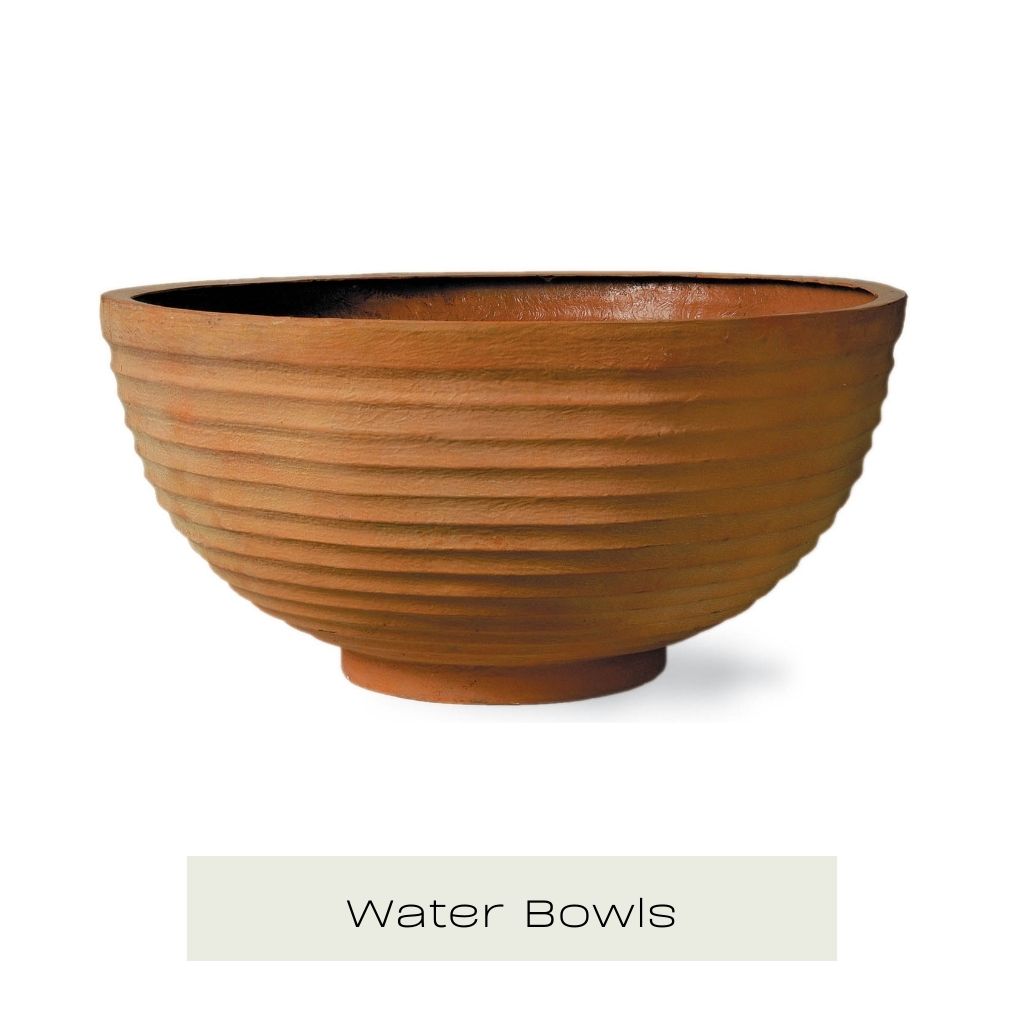 Water Bowls Collection - Plants for Ponds