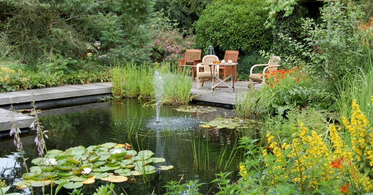 Aquatic Compost Plants for Ponds Limited