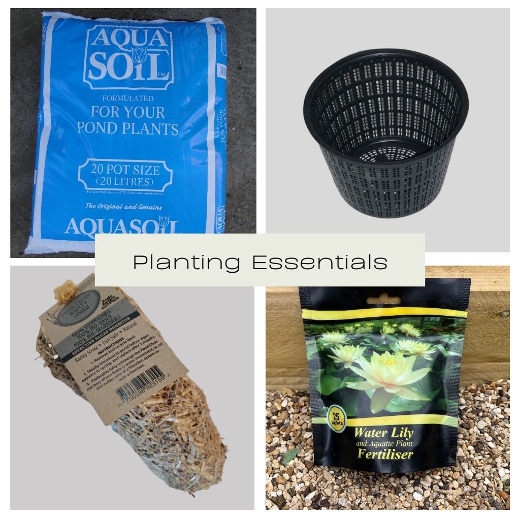 Planting Essentials