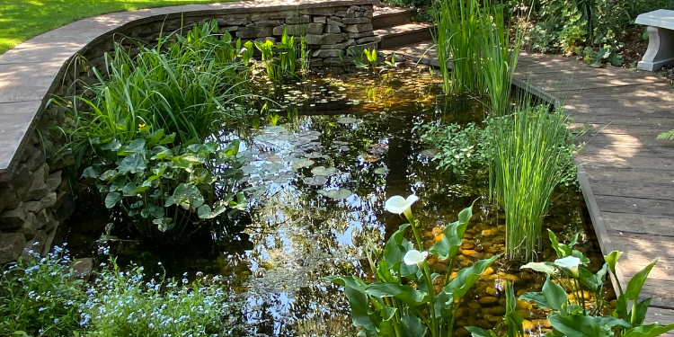 A Wildlife Planting Journey
