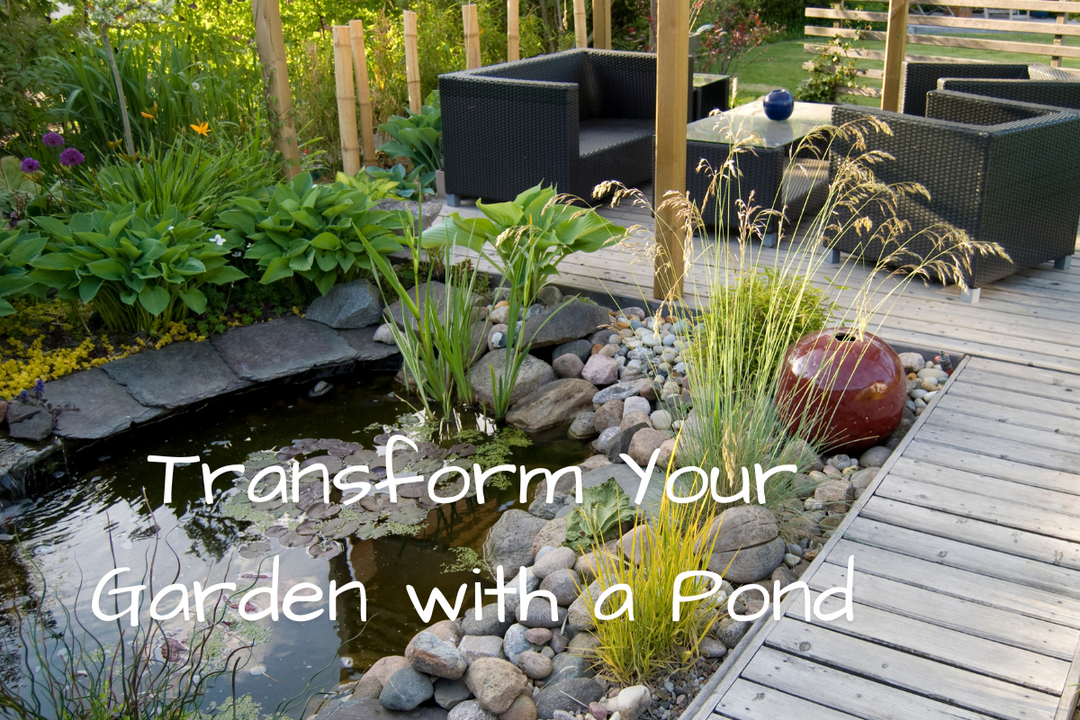 Why Adding a Pond to Your Garden Is a Game-Changer