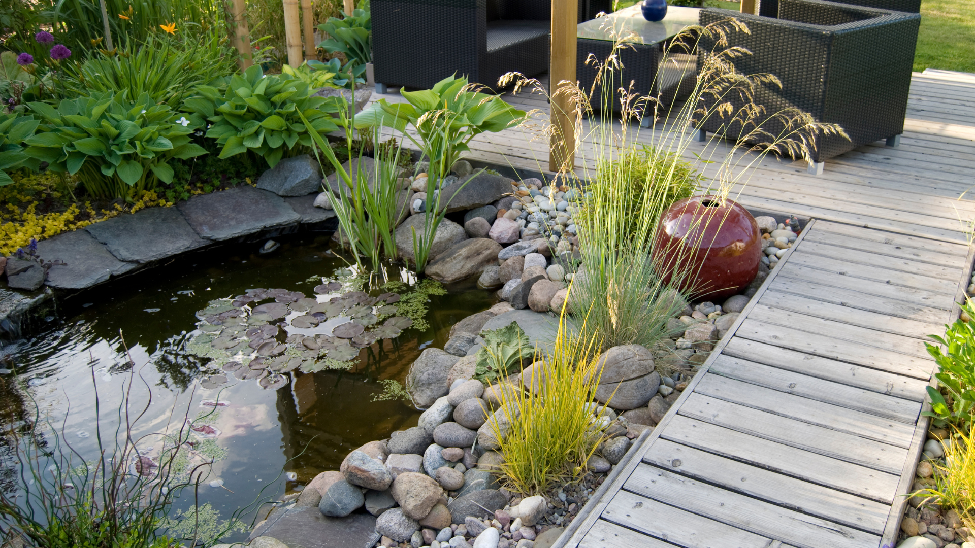 Modern pond with a decked area