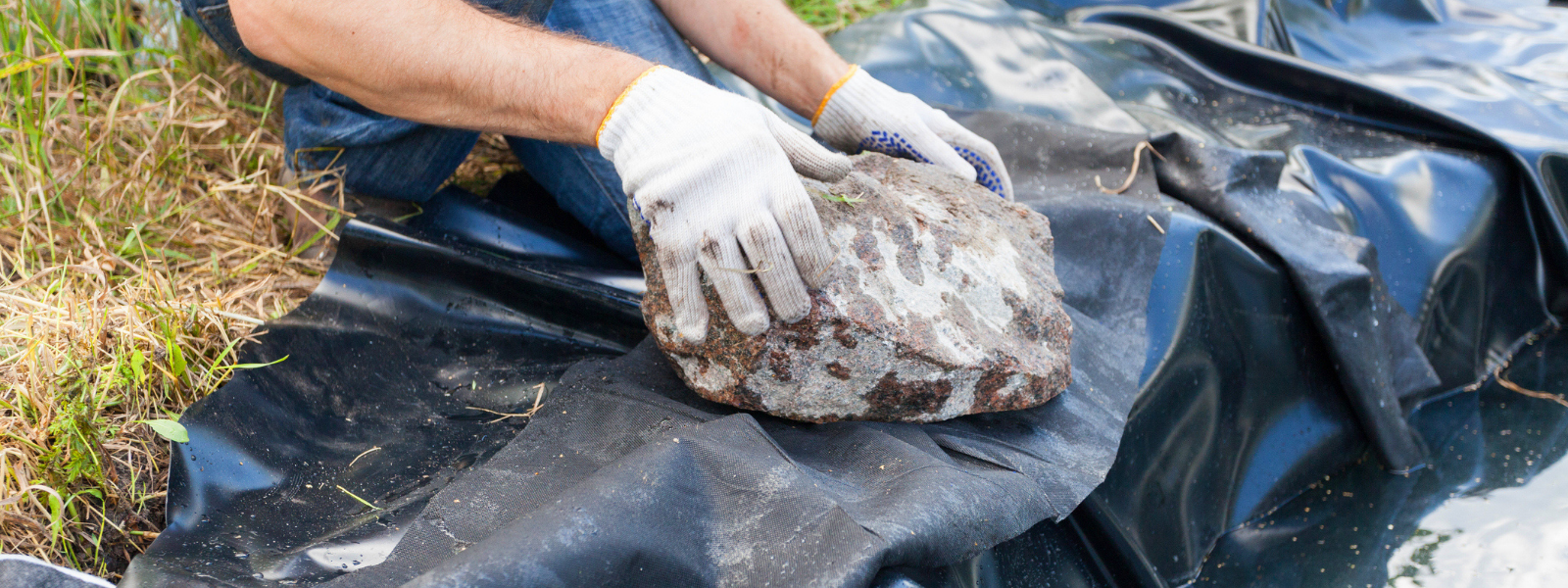 Is Your Pond Liner Exposed and Unsightly? Soften and Hide It with the Right Plants