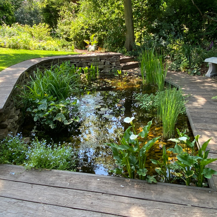 Customer Pond, planted with a selection of pond plants