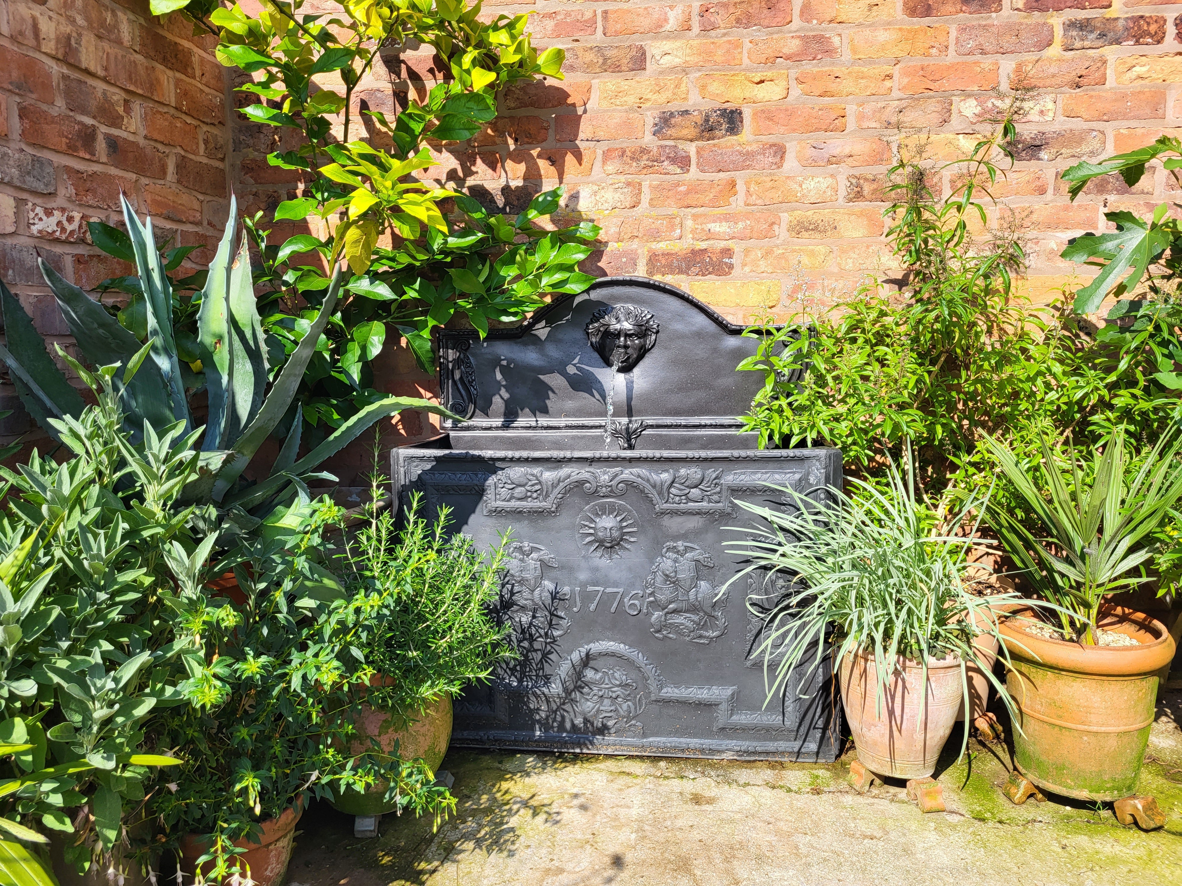 Container Ponds Collection - Plants for Ponds