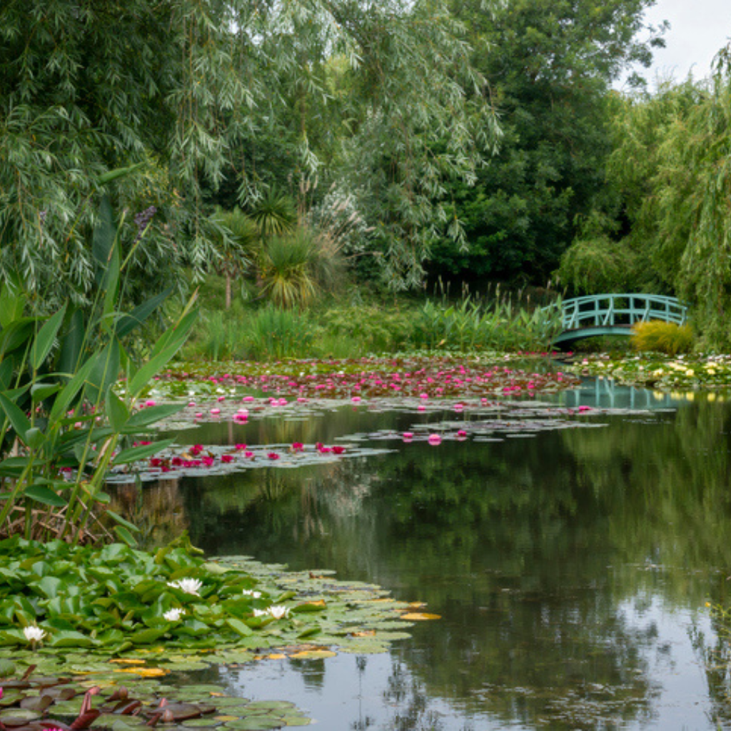 Estate Lakes and Grand Ponds