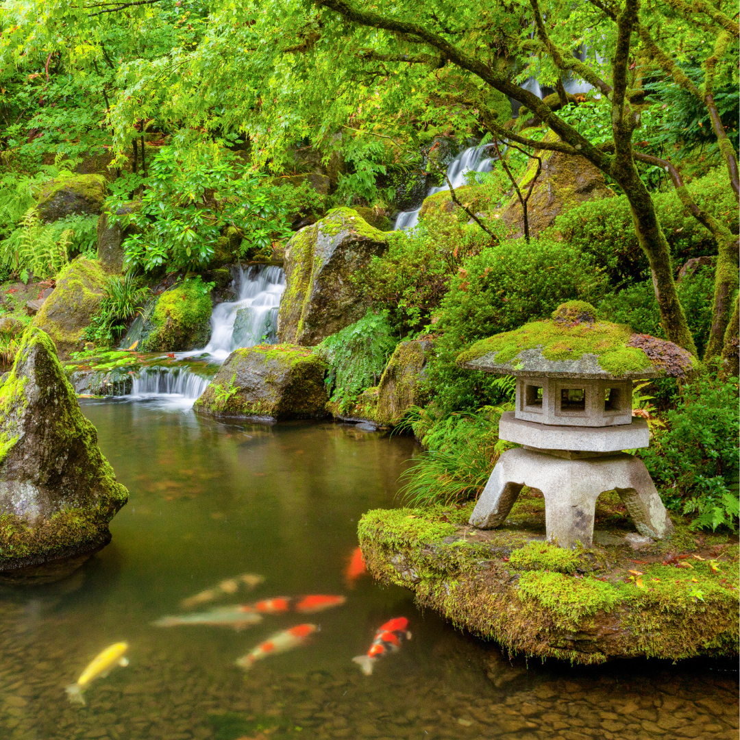 Japanese Inspired Selection