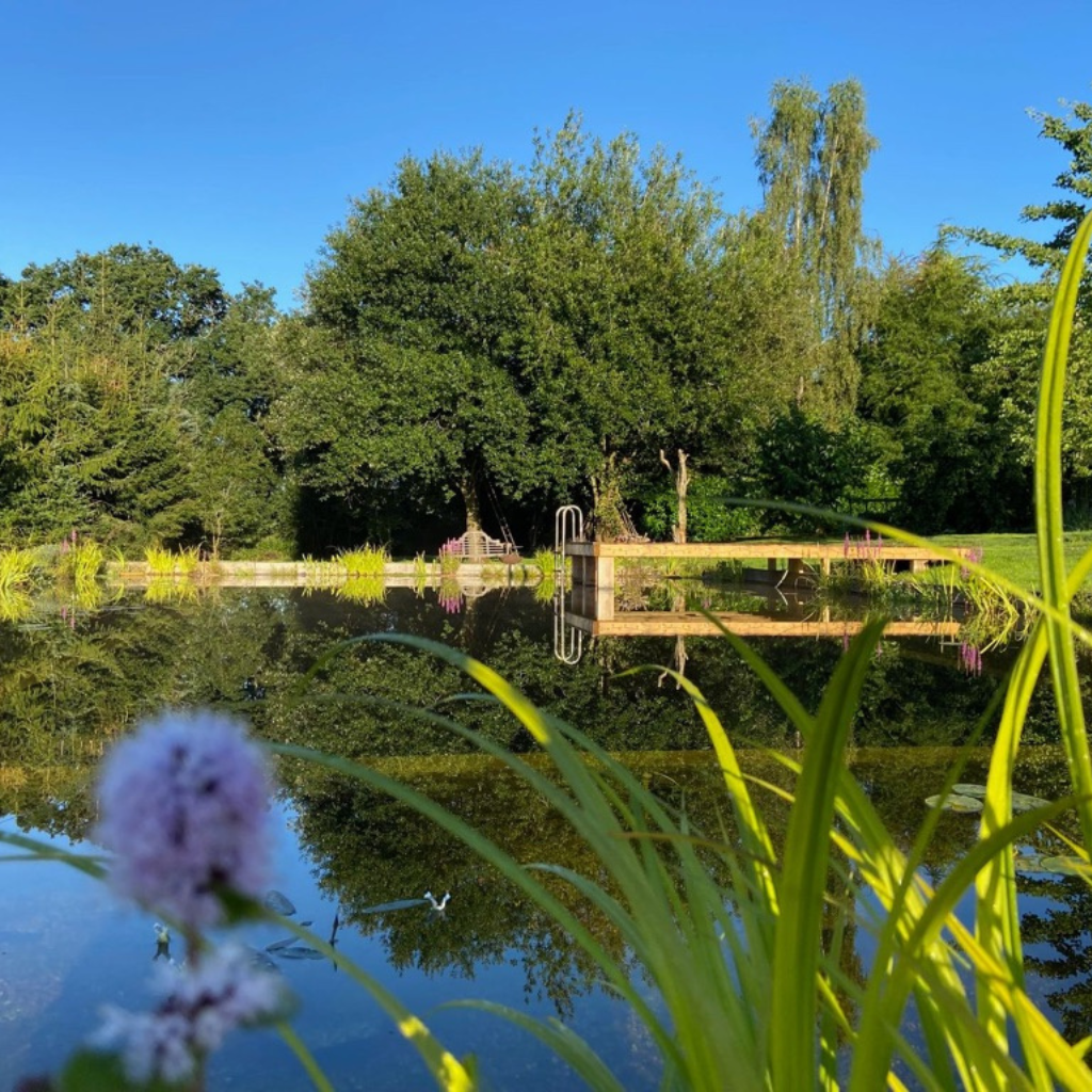 Swimming Pond Planting