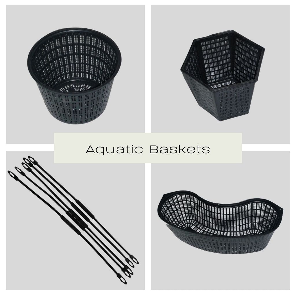 Aquatic Baskets