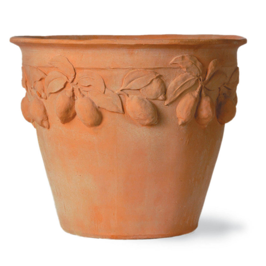 Citrus Pot