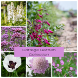 Cottage Garden Collection