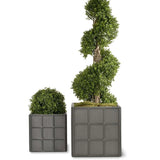 Downing Street Planter