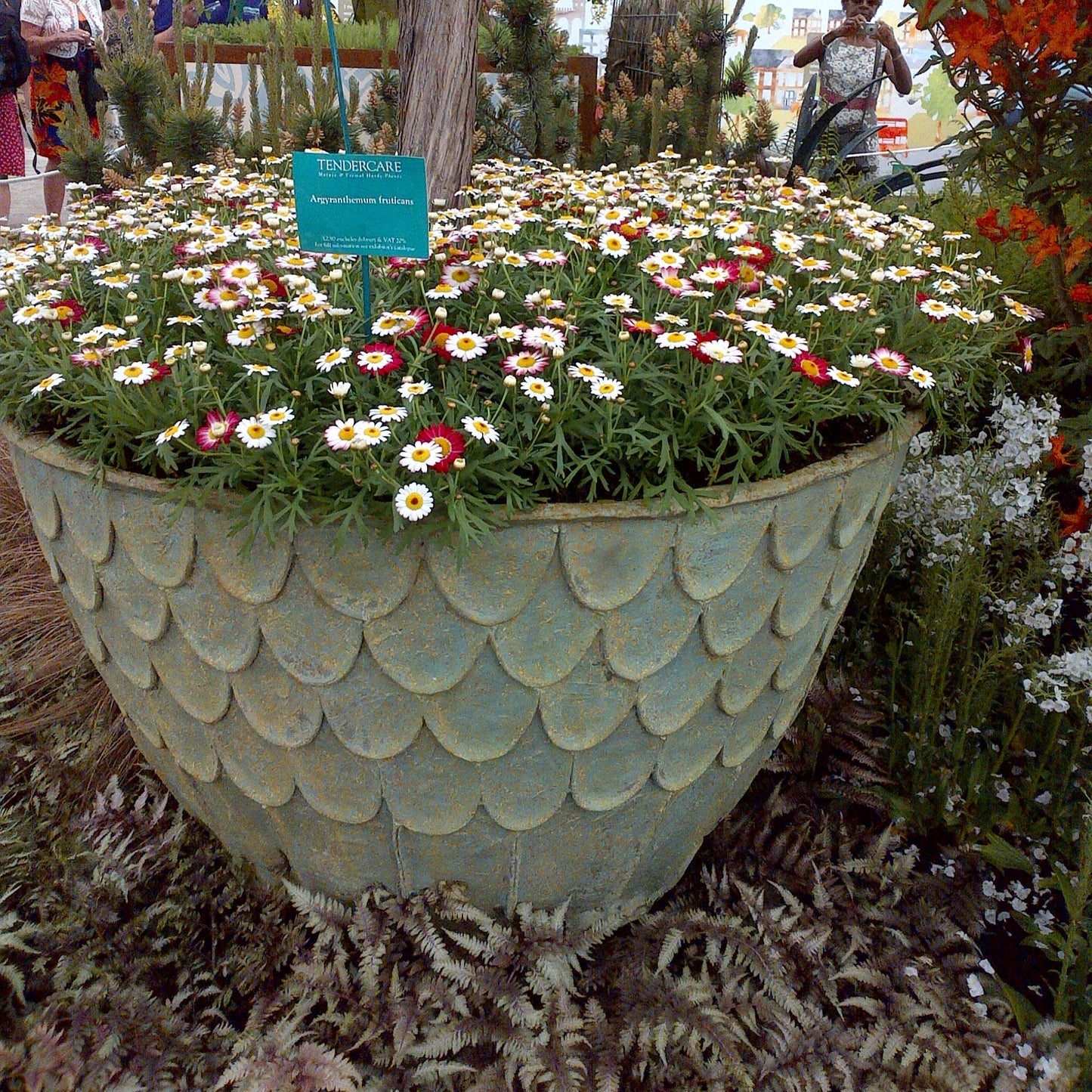 Fishscale Planter