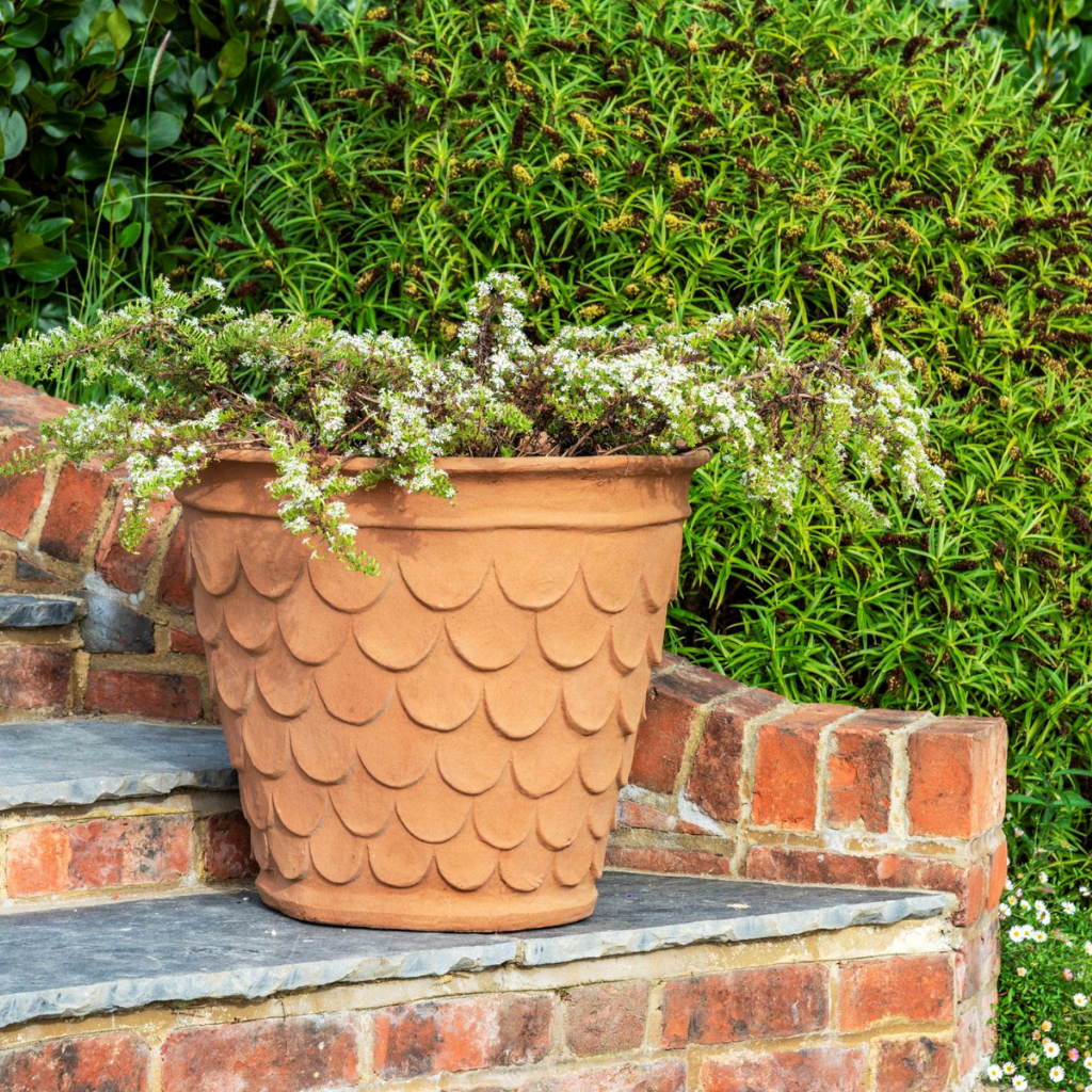 Fishscale Planter