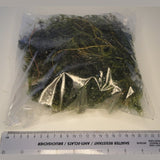 Hornwort | Ceratophyllum demersum