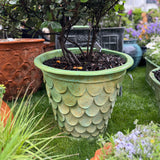 Fishscale Planter