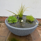 Mini Garden Pond Kit