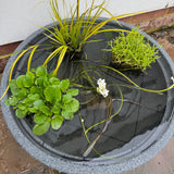 Mini Garden Pond Kit