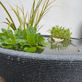 Mini Garden Pond Kit