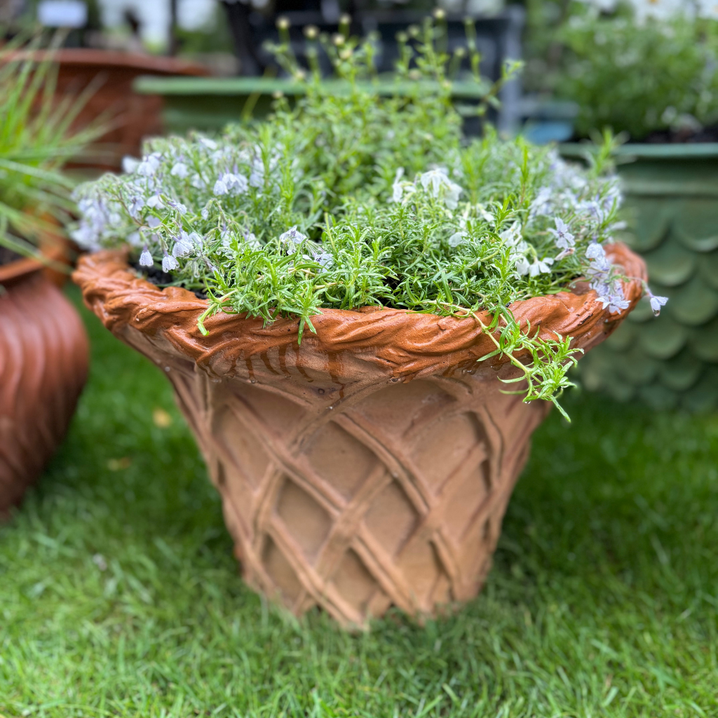 Lattice Pot