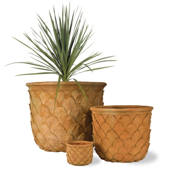 Pineapple Planter