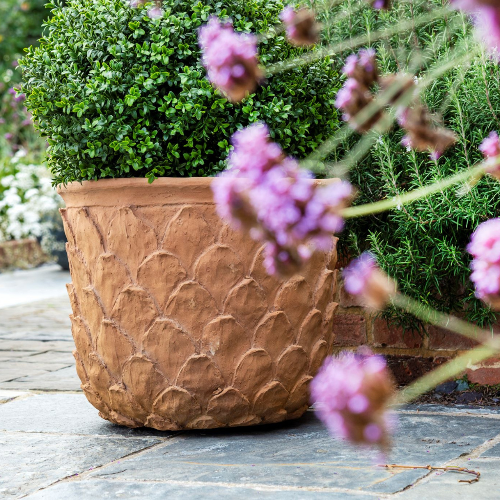 pineapple outdoor planter Pineapple Planter – Plants for Ponds