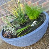 Mini Garden Pond Kit