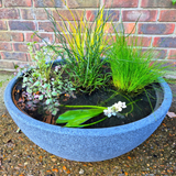 Mini Garden Pond Kit