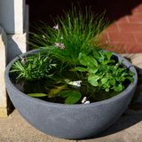 Mini Garden Pond Kit