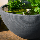Mini Garden Pond Kit