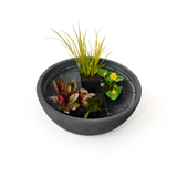 Mini Garden Pond Kit