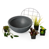 Mini Garden Pond Kit